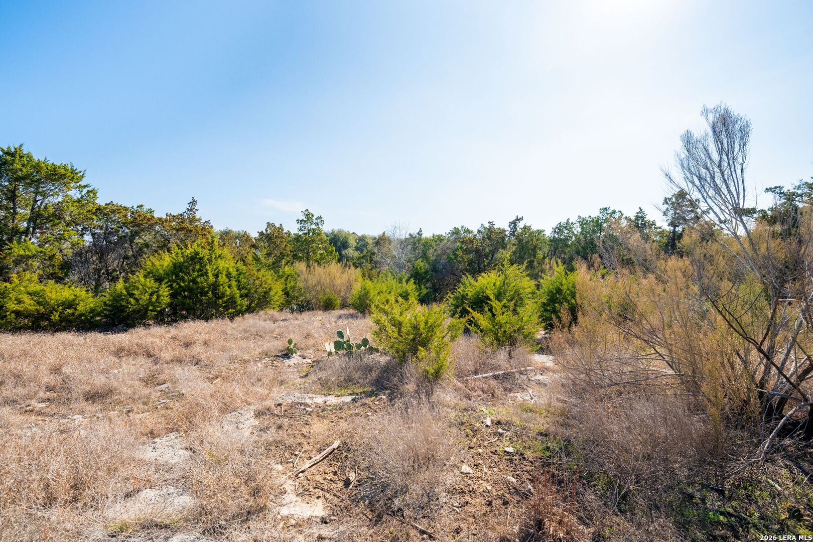 1820 Mountain Springs Canyon Lake TX 78133