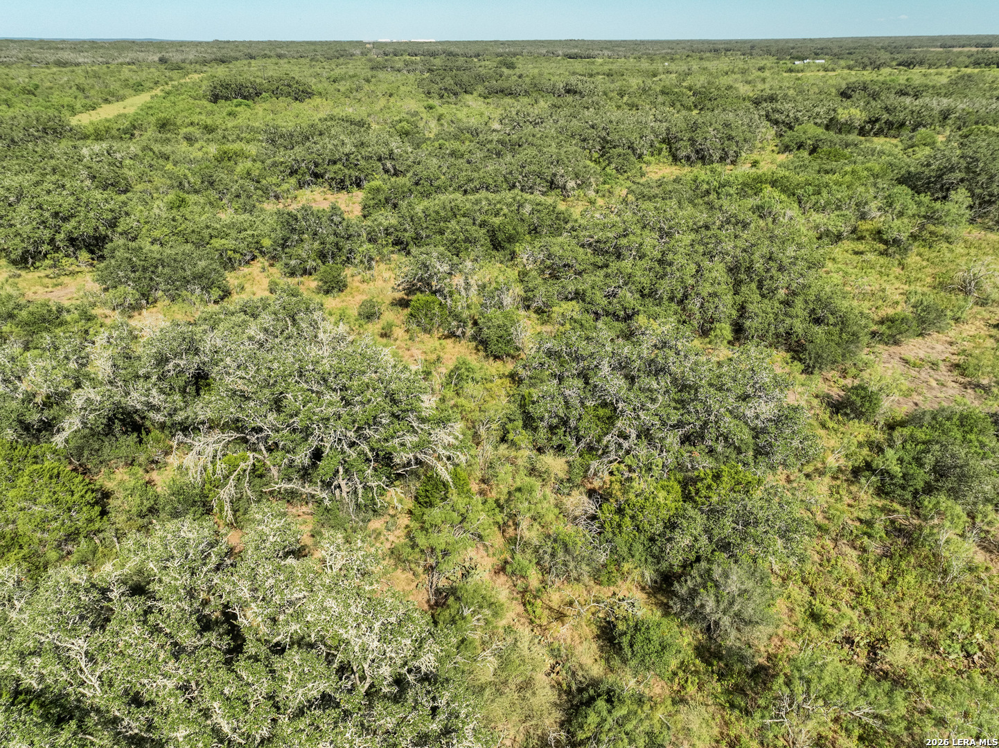 Lot 42 Sky View Ranch Dhanis TX 78850