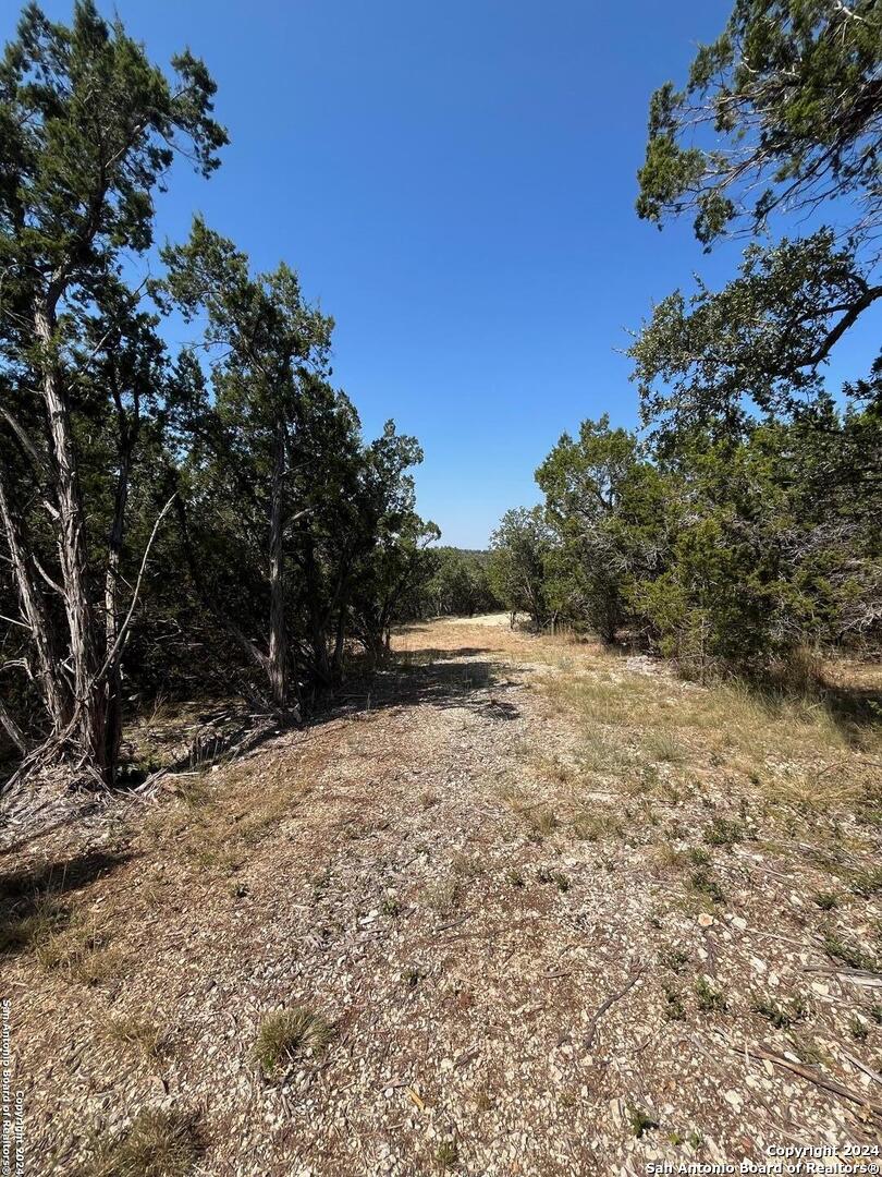 1585 Hilltop Ridge New Braunfels TX 78132