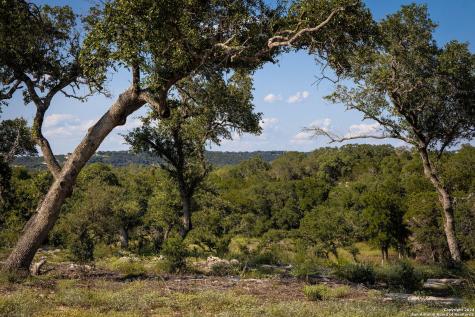 1918 Paradise Parkway Canyon Lake TX 78133