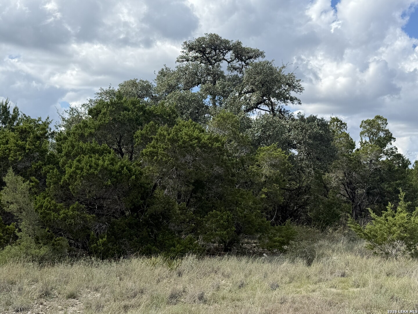 233 Rosinweed Drive Spring Branch TX 78070