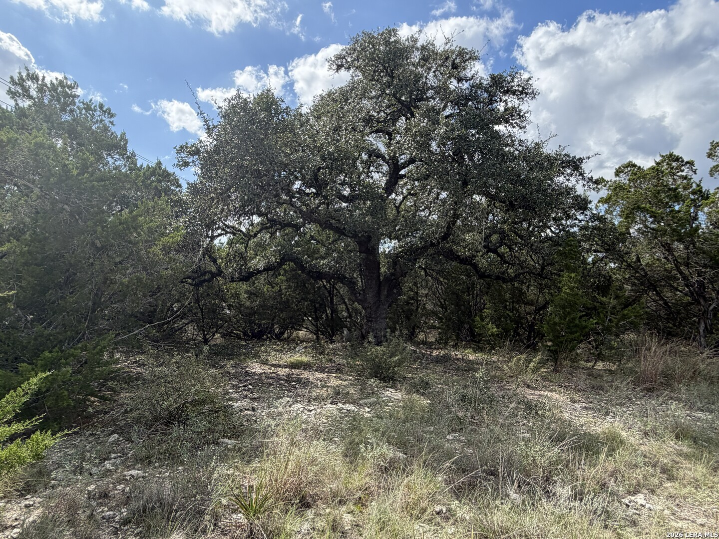 233 Rosinweed Drive Spring Branch TX 78070