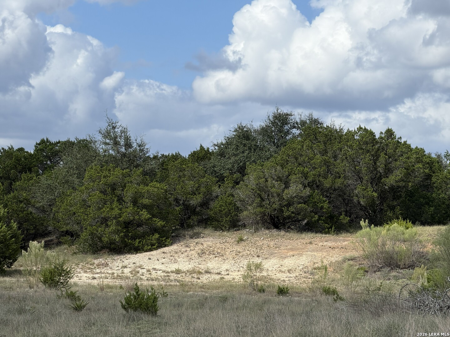233 Rosinweed Drive Spring Branch TX 78070
