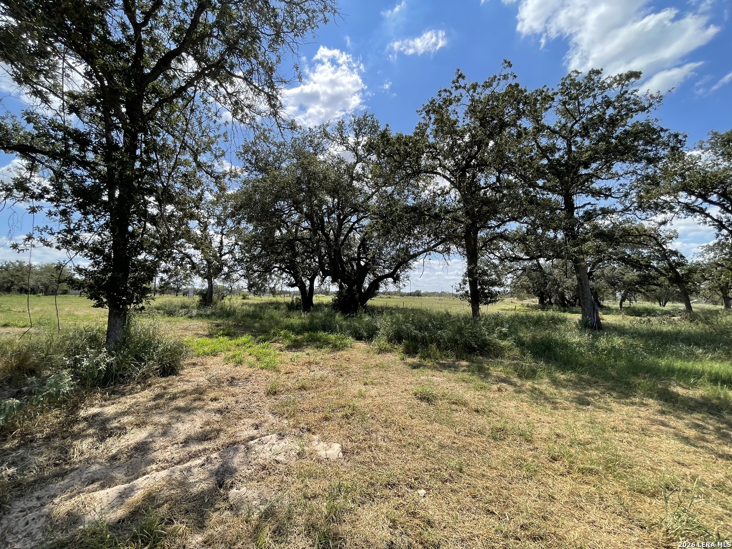 307 County Road 331 Floresville TX 78114