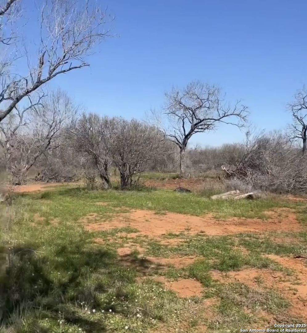 260 County Road 2662 Moore TX 78057