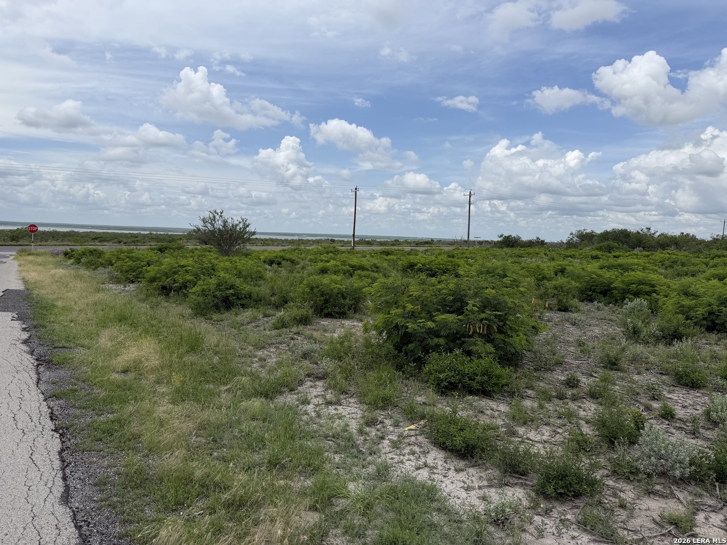 120 Quail Ridge Run Three Rivers TX 78071