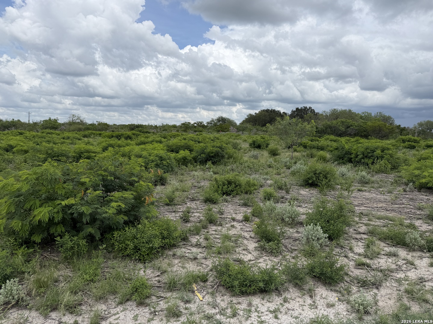 120 Quail Ridge Run Three Rivers TX 78071
