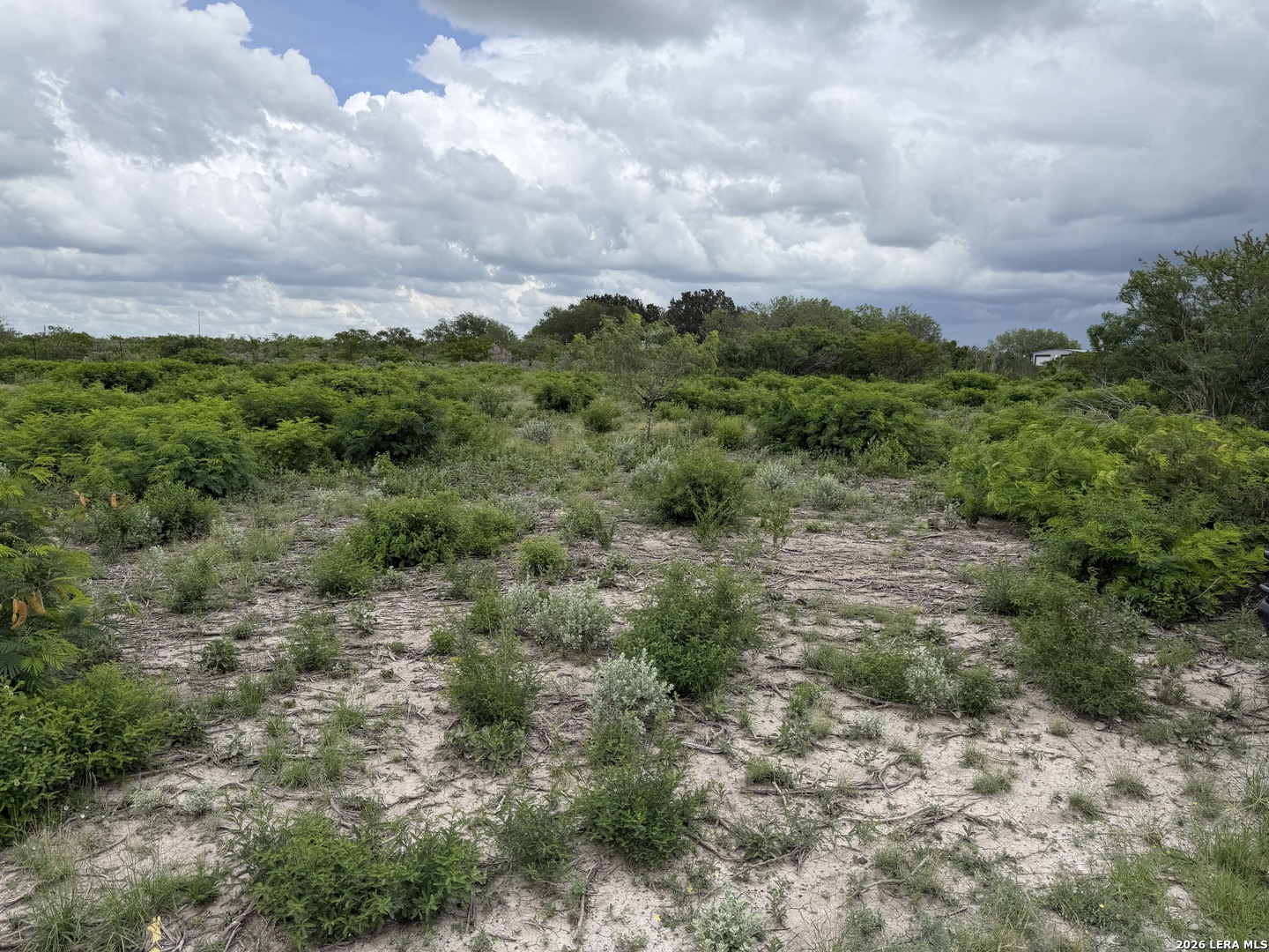 120 Quail Ridge Run Three Rivers TX 78071