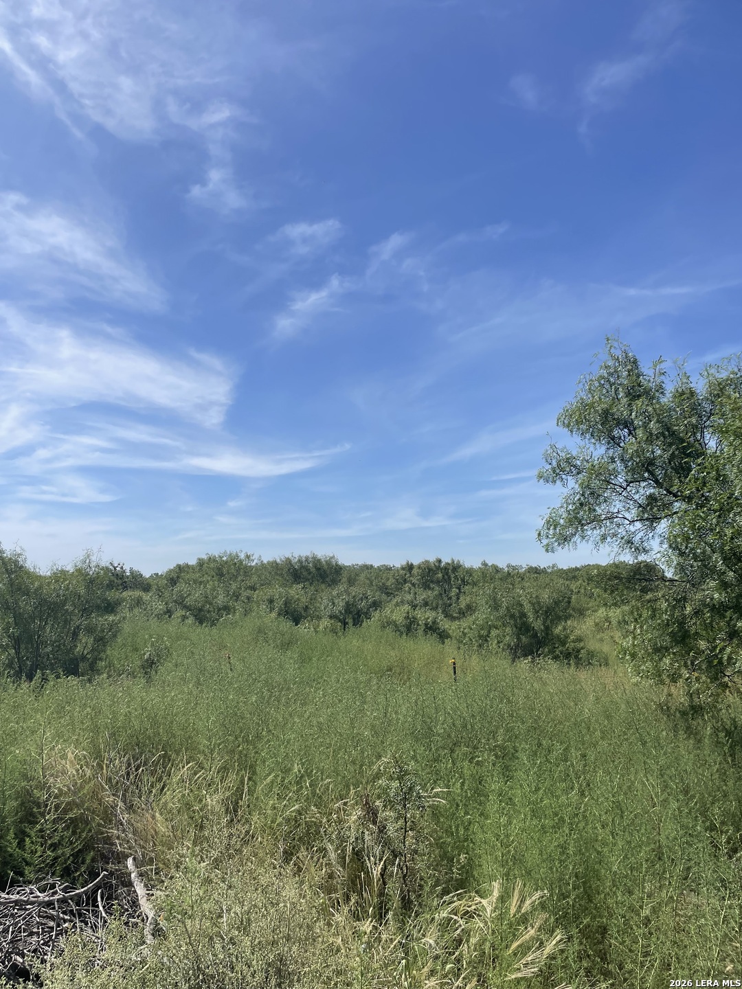 14150 Meadowview Drive Lytle TX 78052