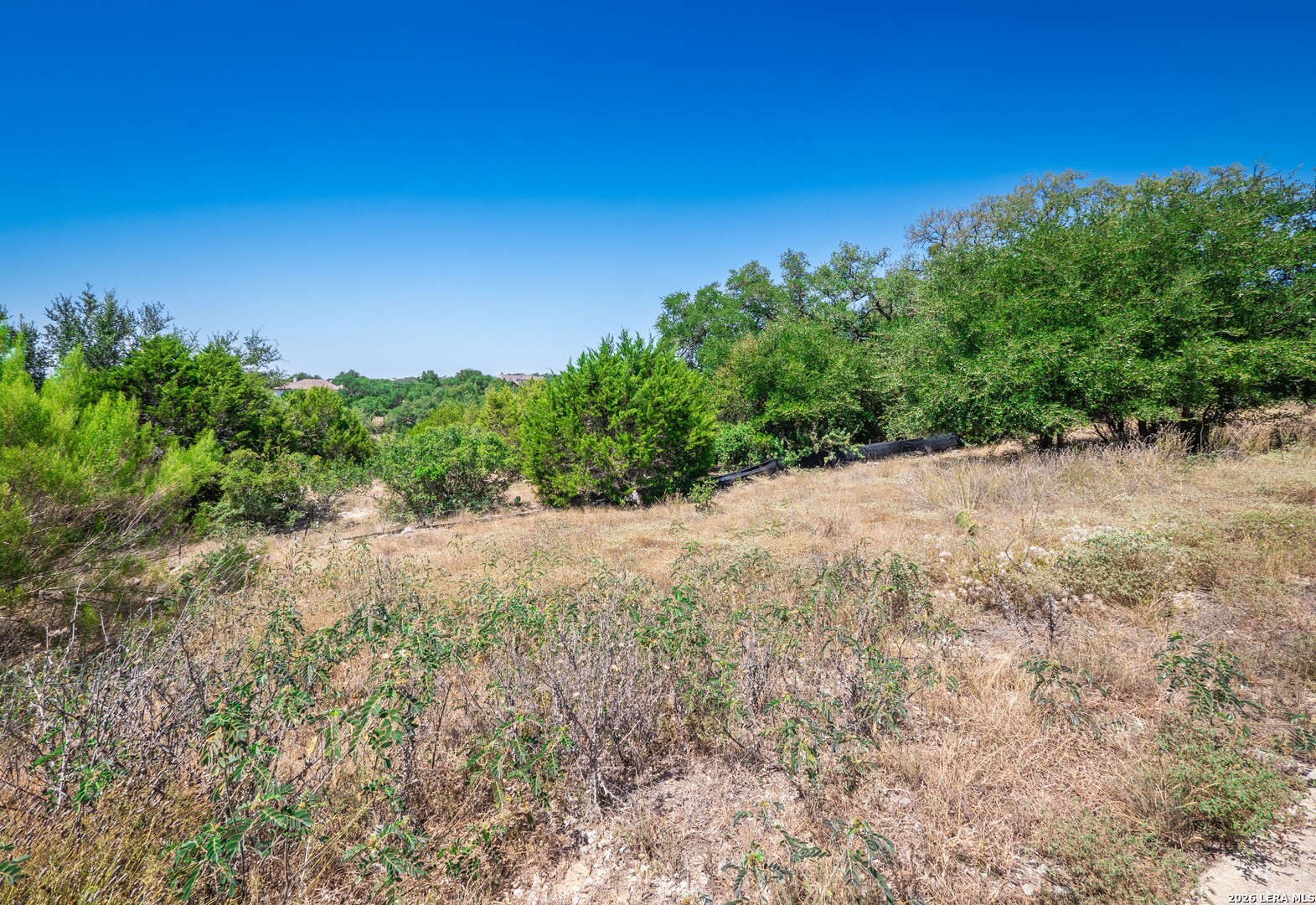 1324 Pinot Grigio New Braunfels TX 78132
