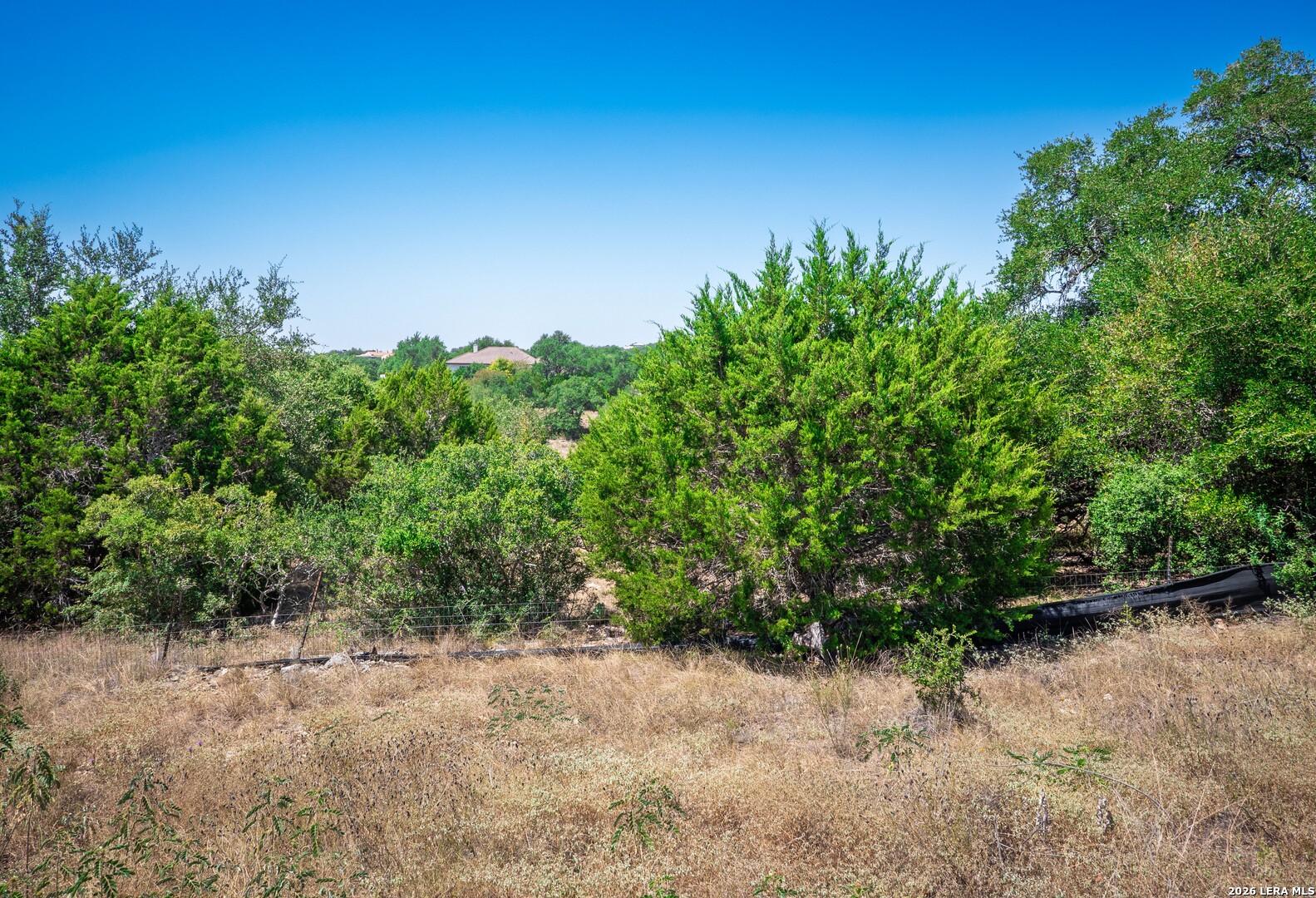 1324 Pinot Grigio New Braunfels TX 78132