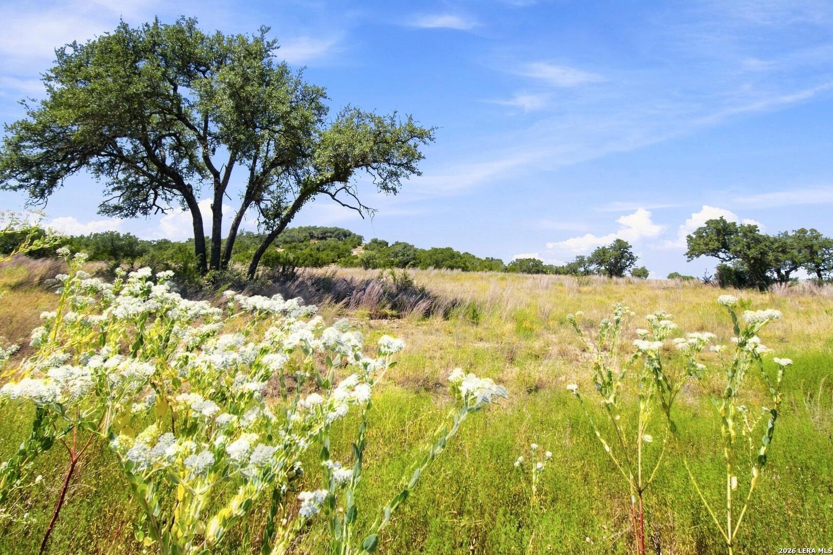 0 Majestic Hills Blanco TX 78606