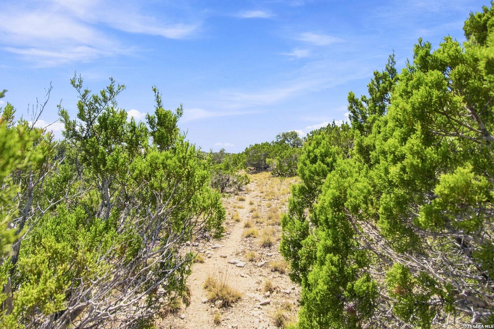0 Majestic Hills Blanco TX 78606