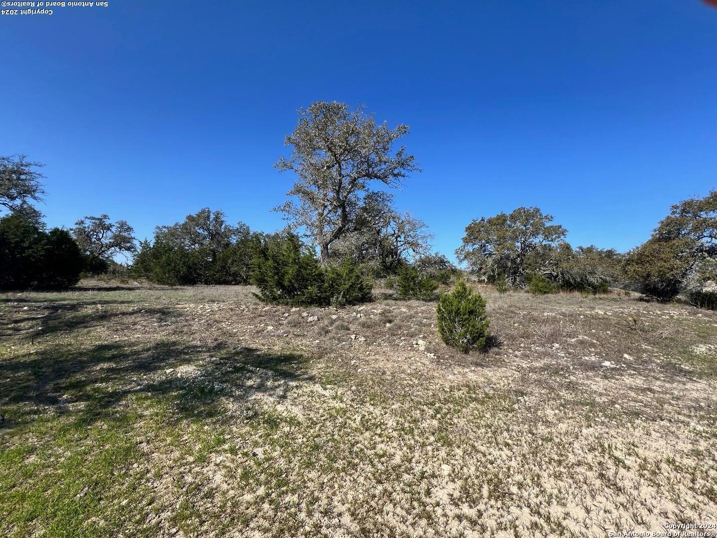 23463 N Cranes Mill Spring Branch TX 78070