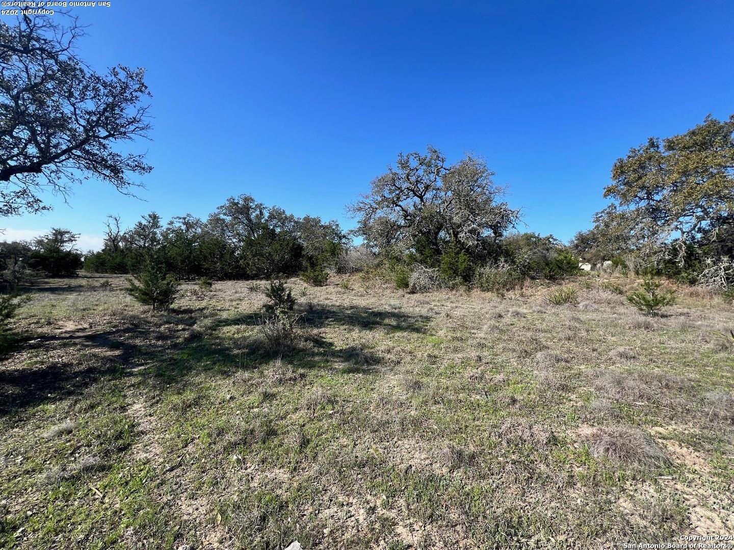 23463 N Cranes Mill Spring Branch TX 78070