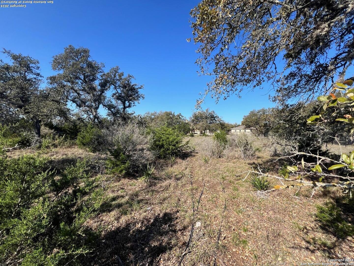 23463 N Cranes Mill Spring Branch TX 78070