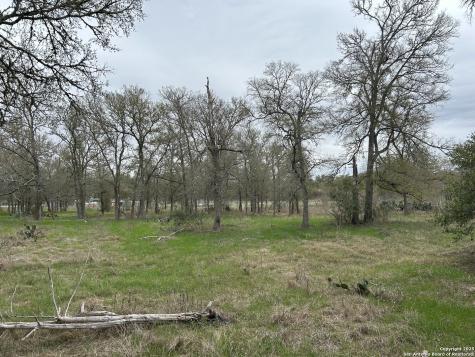 141 N Eskew Lane Cedar Creek TX 78612