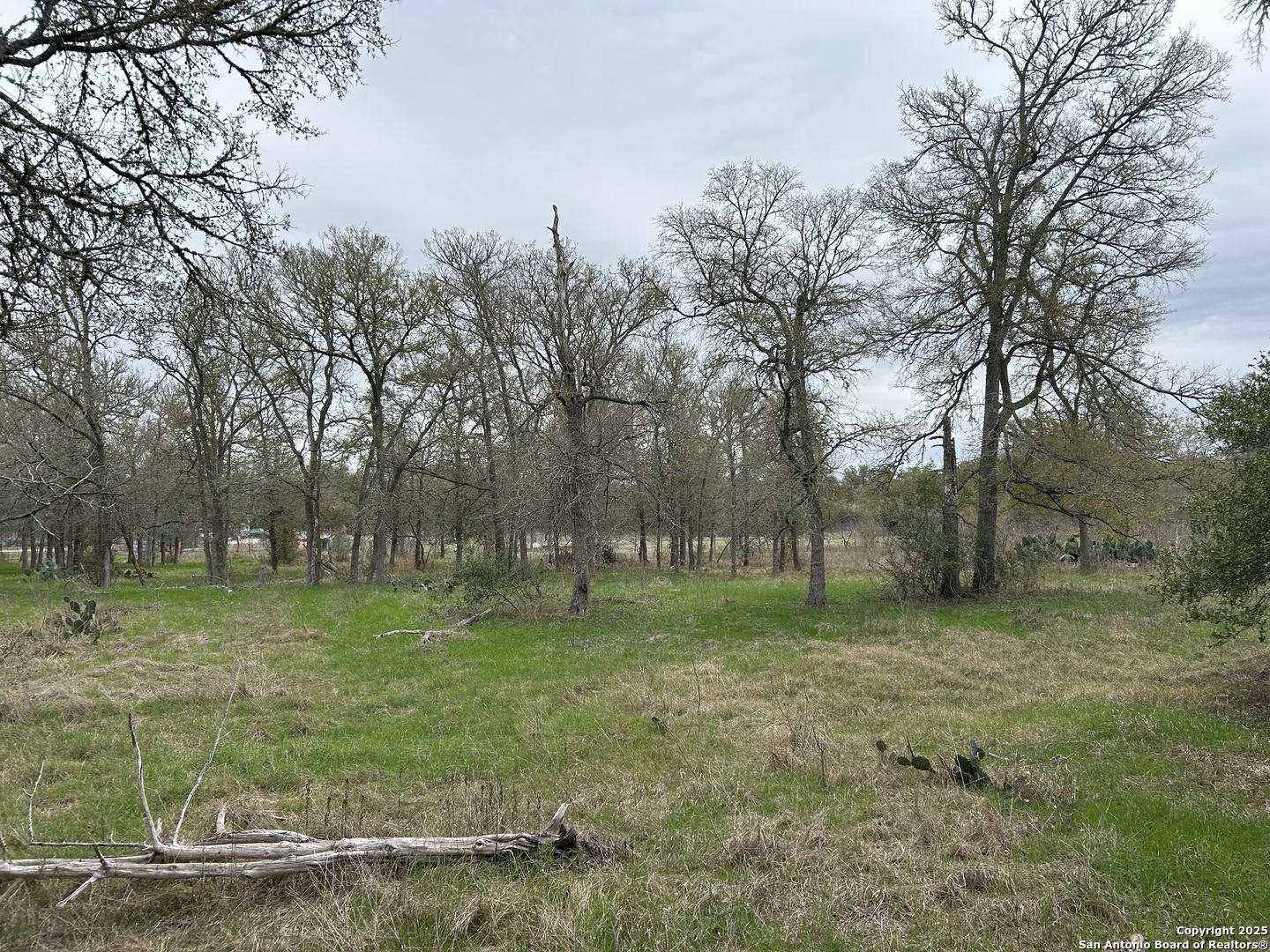 141 N Eskew Lane Cedar Creek TX 78612