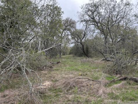 141 N Eskew Lane Cedar Creek TX 78612