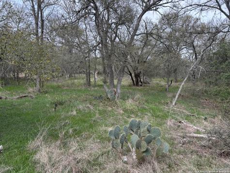 141 N Eskew Lane Cedar Creek TX 78612