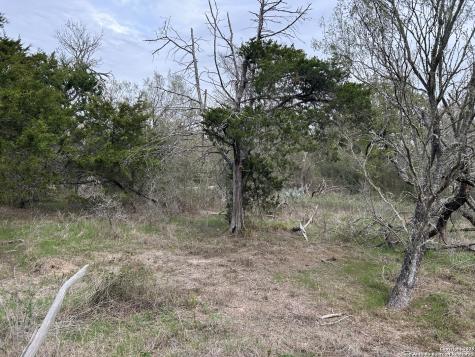 141 N Eskew Lane Cedar Creek TX 78612