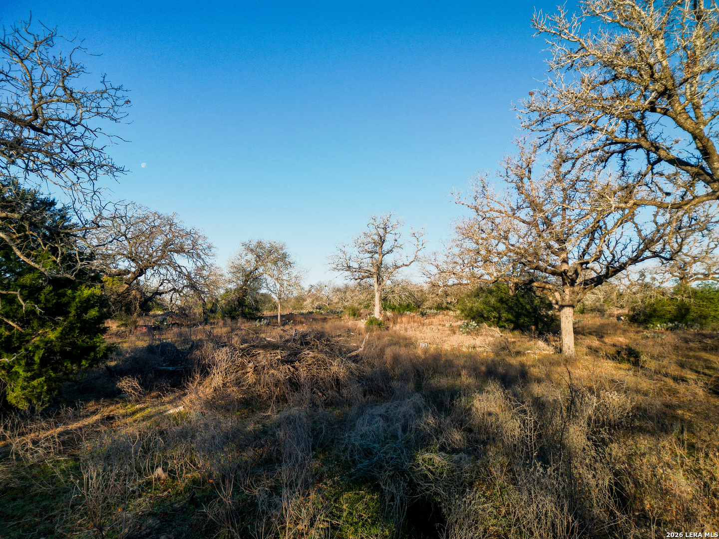 Tbd Sandy Pine Luling TX 78648