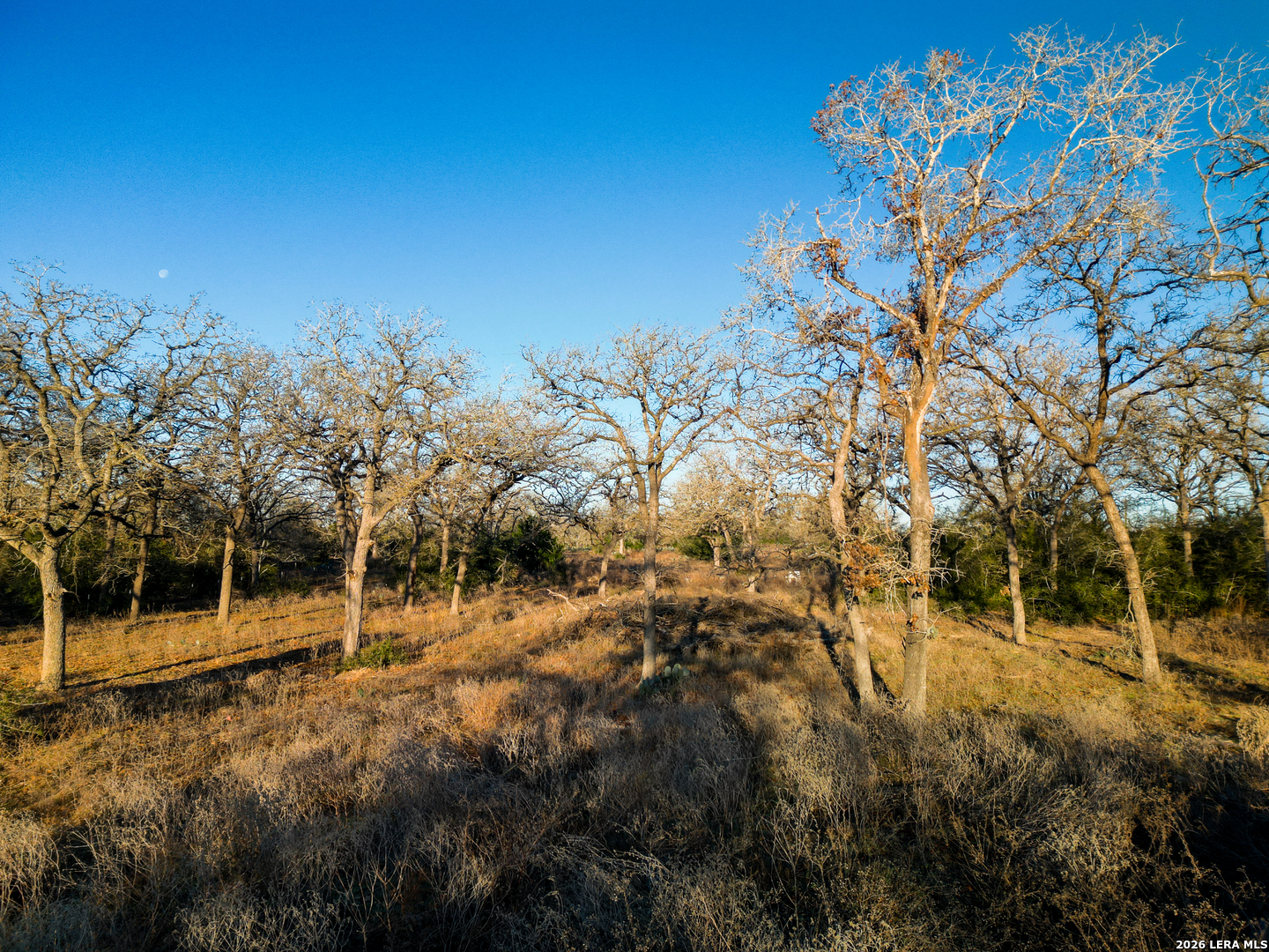 Tbd Sandy Pine Luling TX 78648
