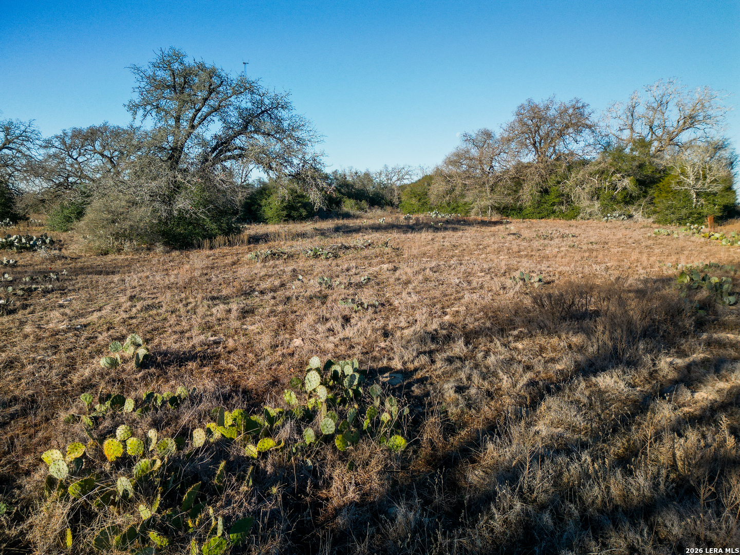 Tbd Sandy Pine Luling TX 78648