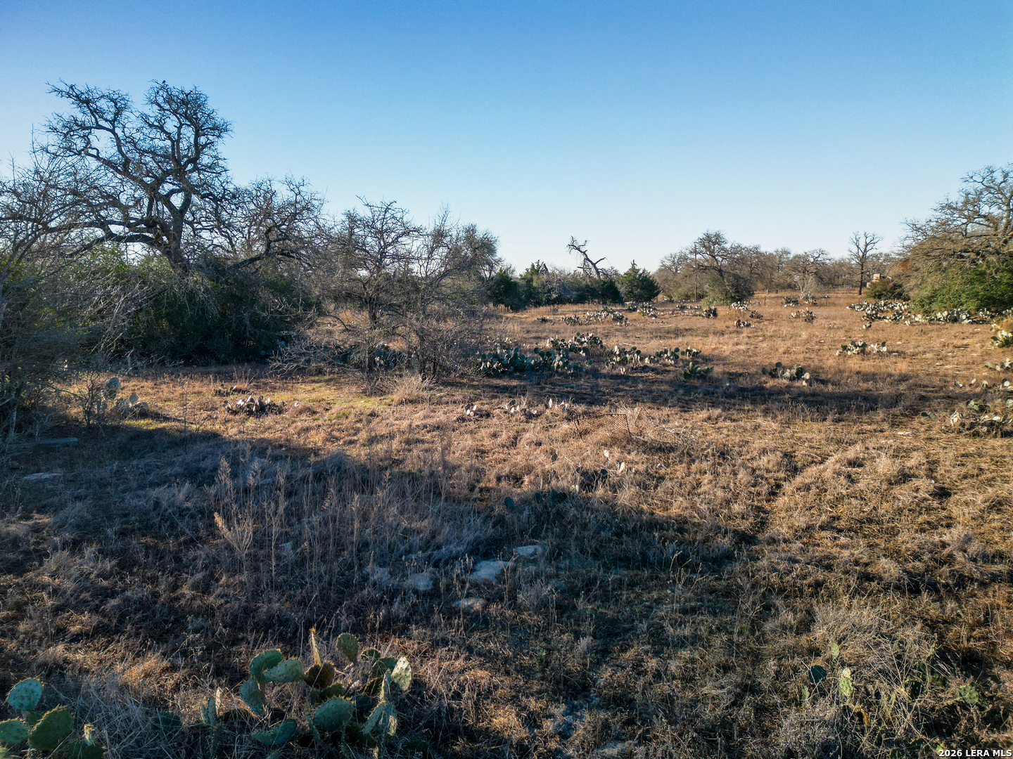 Tbd Sandy Pine Luling TX 78648