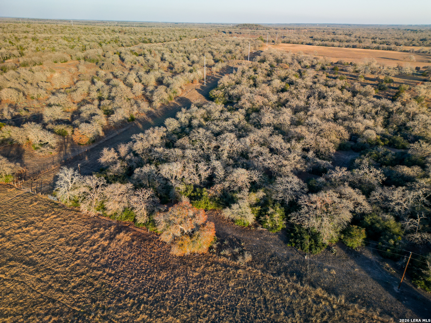Tbd Sandy Pine Luling TX 78648