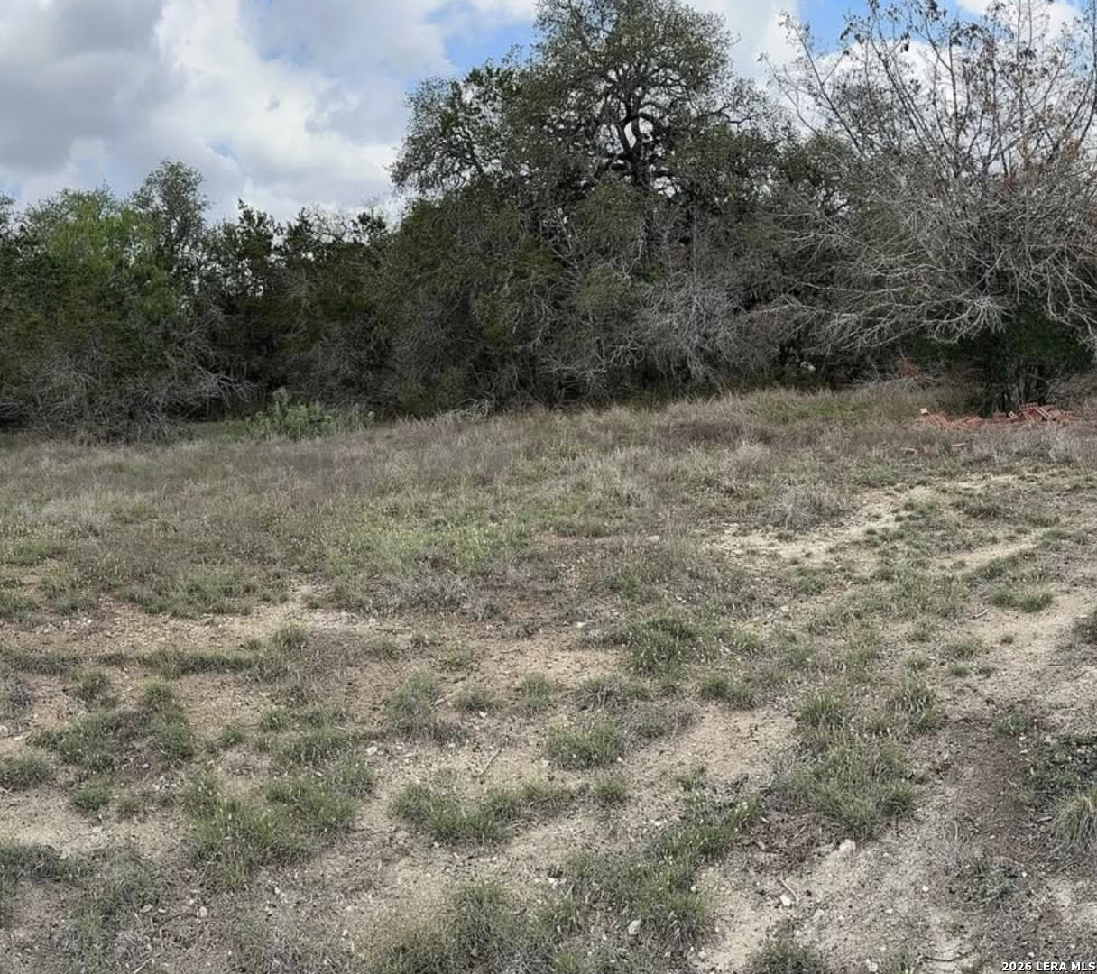1154 Antelope Spring Branch TX 78070