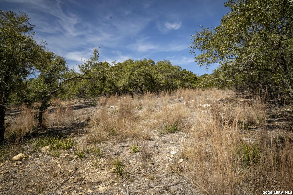 15300 State Highway 46 Spring Branch TX 78070