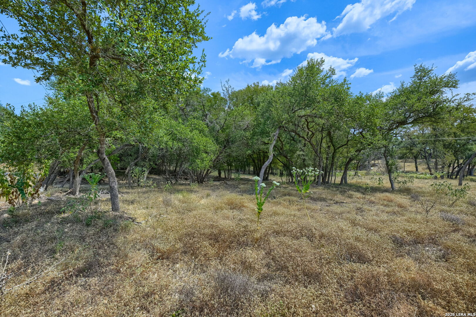 0 Leveritts Loop Wimberley TX 78676