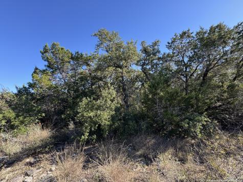 Lot 193 County Road 2801 Mico TX 78056