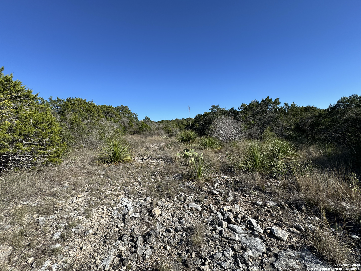 Lot 193 County Road 2801 Mico TX 78056