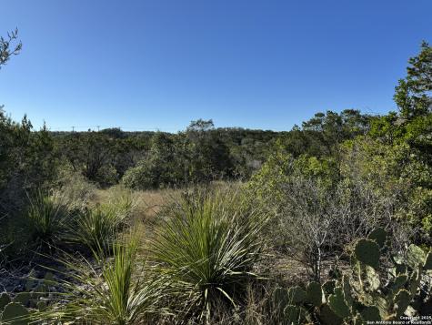 Lot 193 County Road 2801 Mico TX 78056