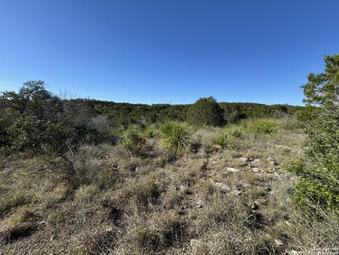Lot 193 County Road 2801 Mico TX 78056