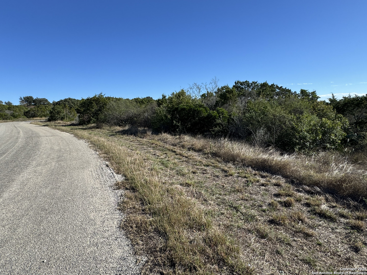 Lot 193 County Road 2801 Mico TX 78056