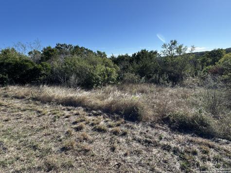 Lot 193 County Road 2801 Mico TX 78056