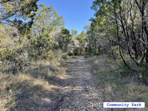 Lot 193 County Road 2801 Mico TX 78056
