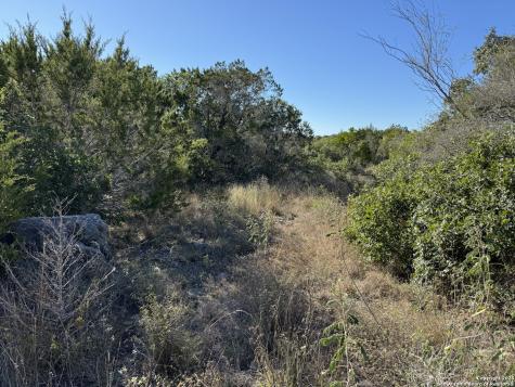 Lot 193 County Road 2801 Mico TX 78056
