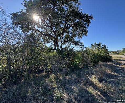 Lot 193 County Road 2801 Mico TX 78056