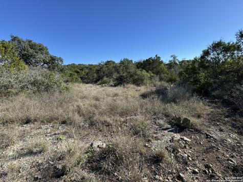 Lot 193 County Road 2801 Mico TX 78056