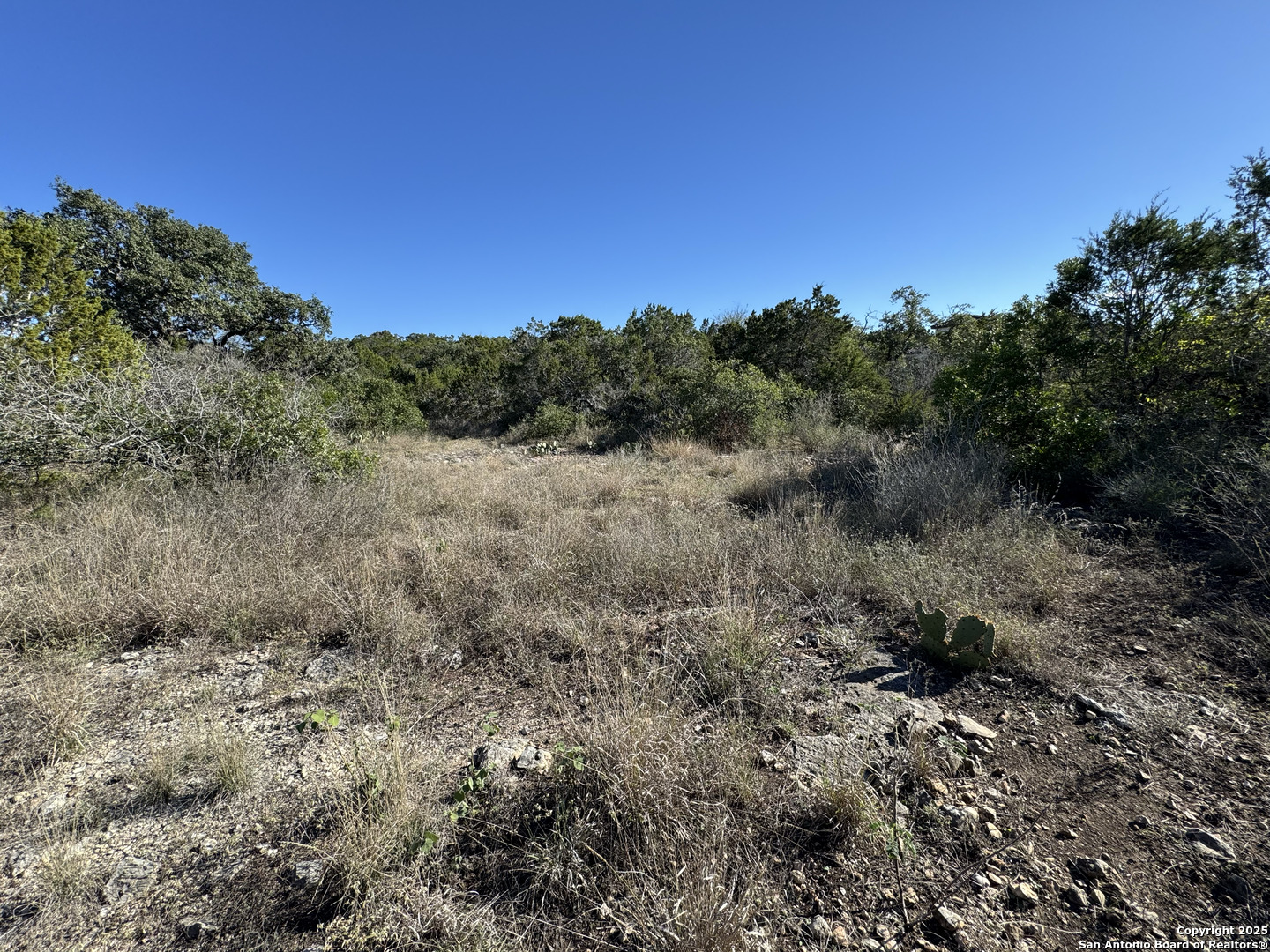 Lot 193 County Road 2801 Mico TX 78056