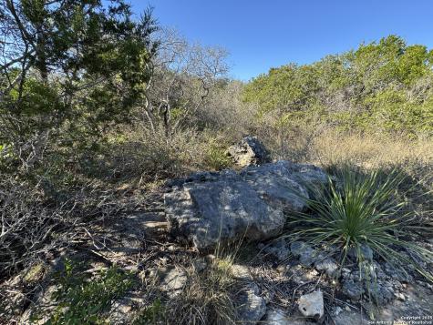 Lot 193 County Road 2801 Mico TX 78056