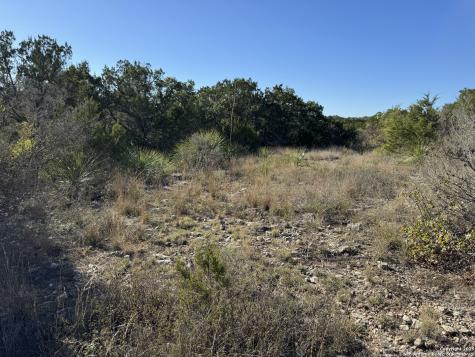 Lot 193 County Road 2801 Mico TX 78056