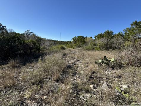 Lot 193 County Road 2801 Mico TX 78056