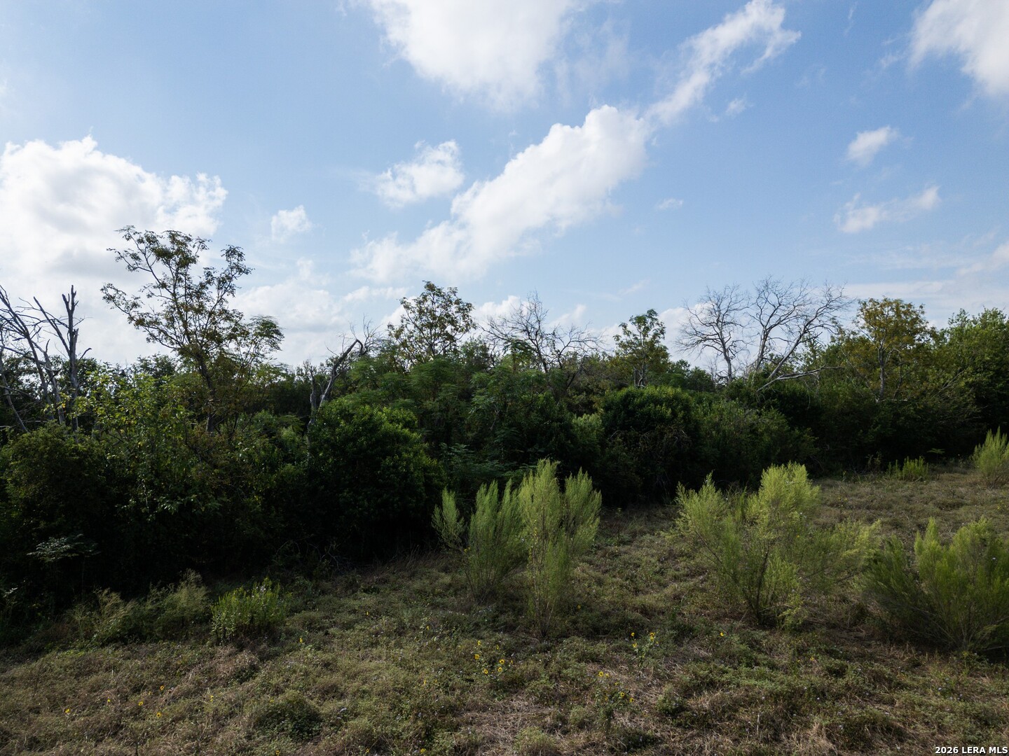 00 Haeckerville Road Cibolo TX 78108
