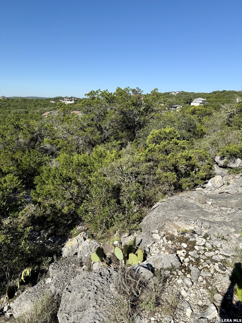 15618 Vista Grande Helotes TX 78023