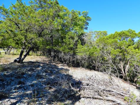 LOT10A-16A,9-11 Plum Cove Road Lakehills TX 78063